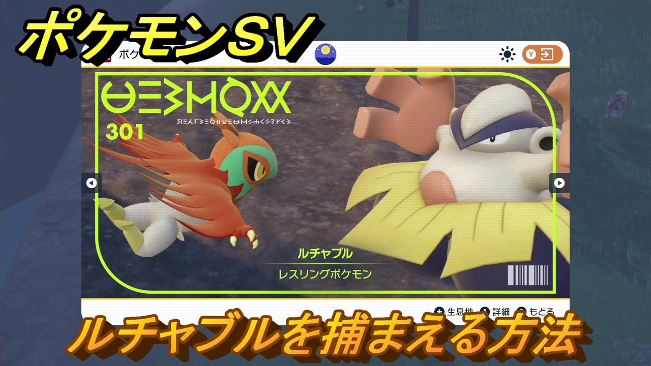 ルチャブル 希少 ポケモンZA】メガルチャブルの種族値と色違い・タイプ【ポケモン