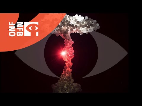 Naked Island - All We Need Is War