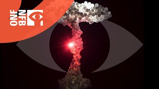 Naked Island - All We Need Is War