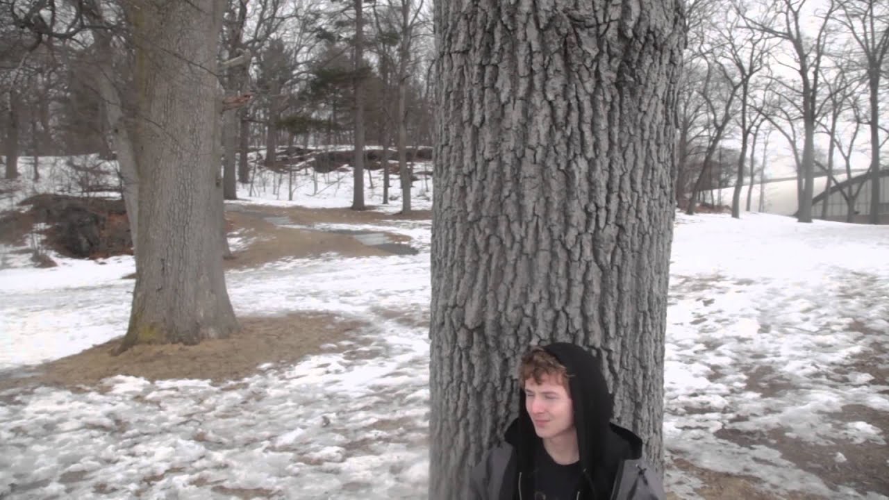 Orion DVC 210 Jib Test by ProAm USA