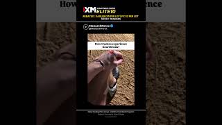 How traders experience heartbreak XM Global Partner Code ELITE10 for Rebates