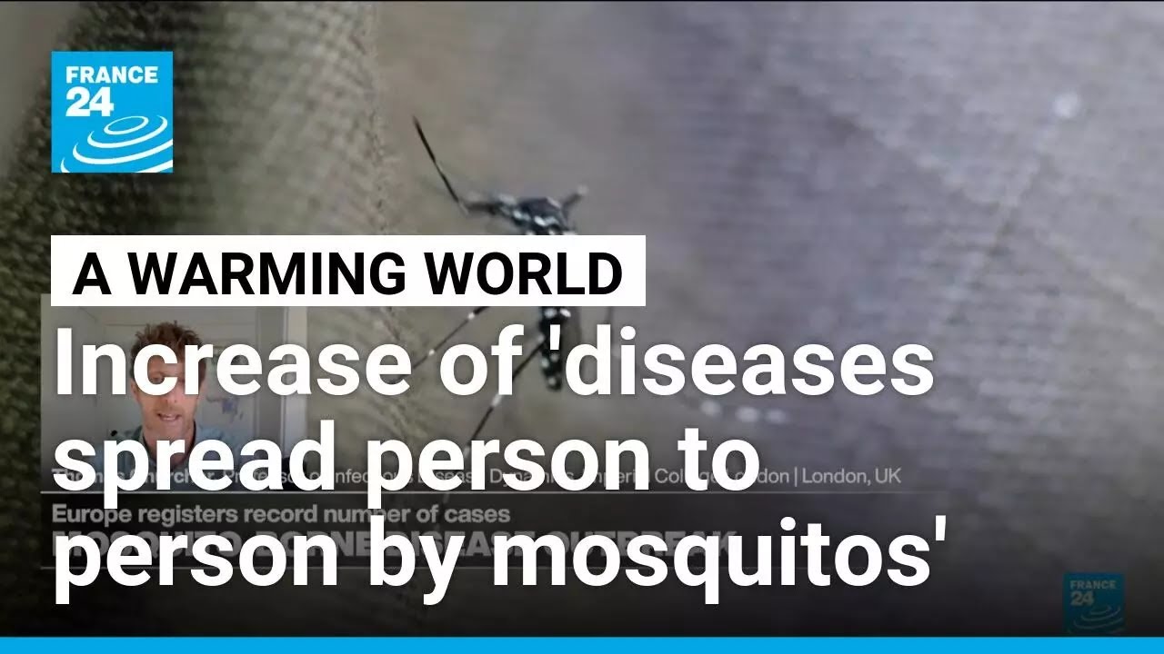 Mosquito-borne diseases: 'As world warms, parasites, diseases and viruses become more transmissible'