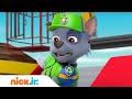 PAW Patrol | Bauer Alfreds Bauernhof steht unter Wasser! | Nick Jr. Deutschland