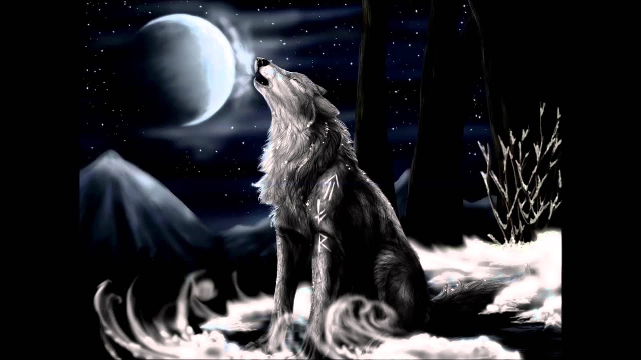 insanity frost mix backwards