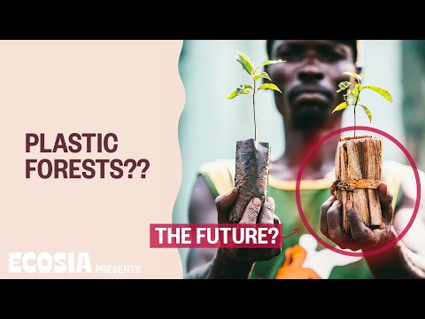 Video: Ecosia ma'lumotlaringizni sotadimi?