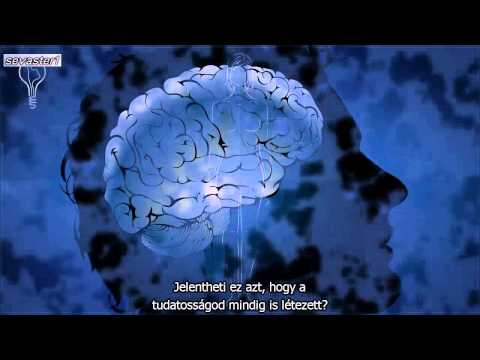 Mit tapasztaltál mielőtt megszülettél ? Am.dokumentumfilm, feliratos.