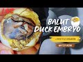 🔴ASMR Balut Duck Embryo EXOTIC DELICACY ep.5