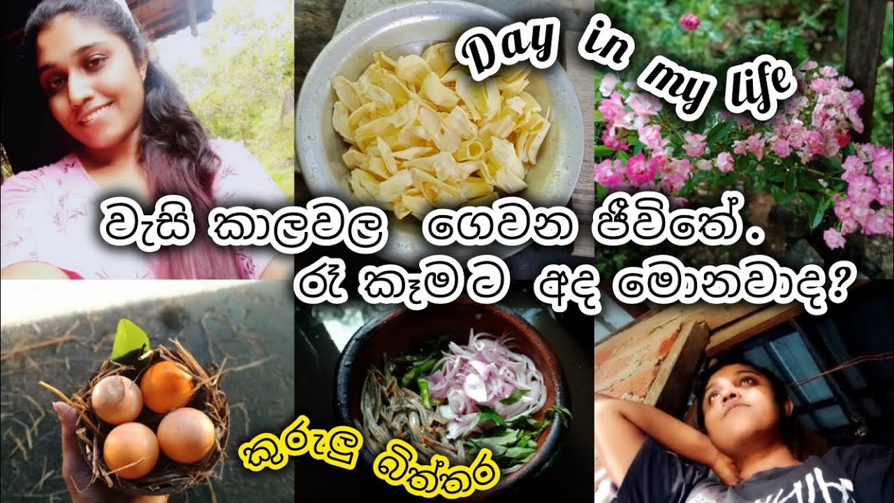Day vlog | මගේ  සරල ජිවිතයෙන්  දවස් දෙකක් ☘️🌩️🌧️