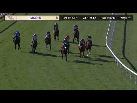 Race 6 Thumbnail
