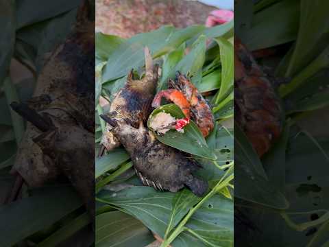 Ngày thứ 2 học câu tôm P3 #cautom #cauca #fishing #caucathiennhien #caucagiaitri #mayfishing