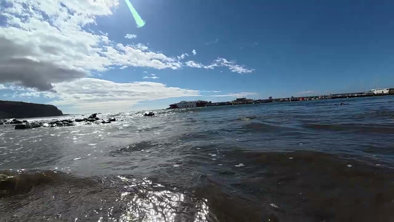 DJI 20260113075428 0458 D