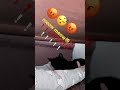 Sweetie plays with kitty❗️🐱