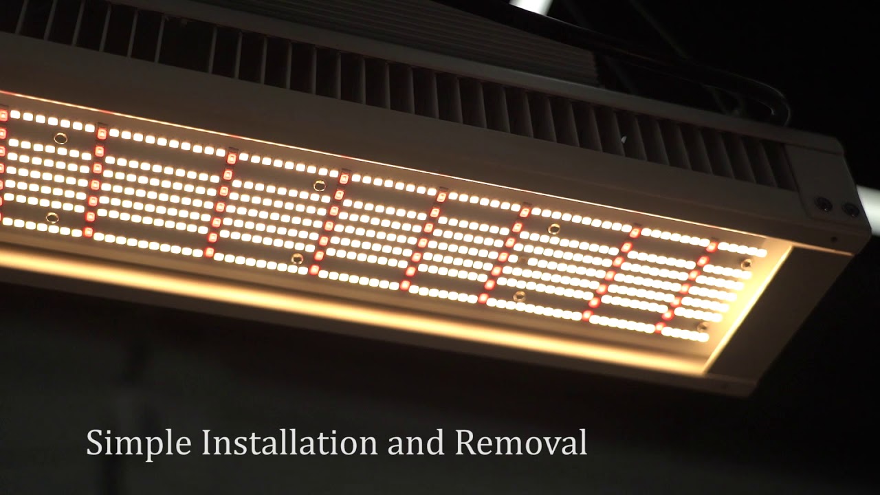 Meijiu New Arrivals PT Full Spectrum Bar Grow Light 320W