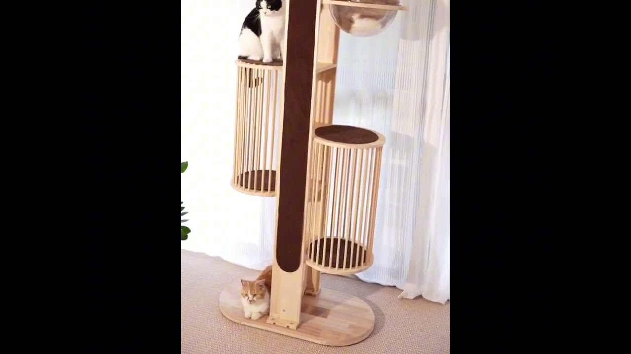 Okra Modern Cat Tree Tower for Large Cats