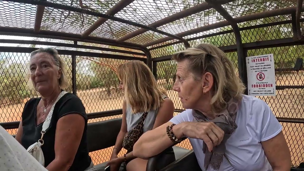 Lions ranch de Bandia Sénégal.