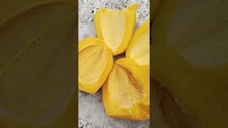 Seedless Papaya | Gardening mistake #shorts