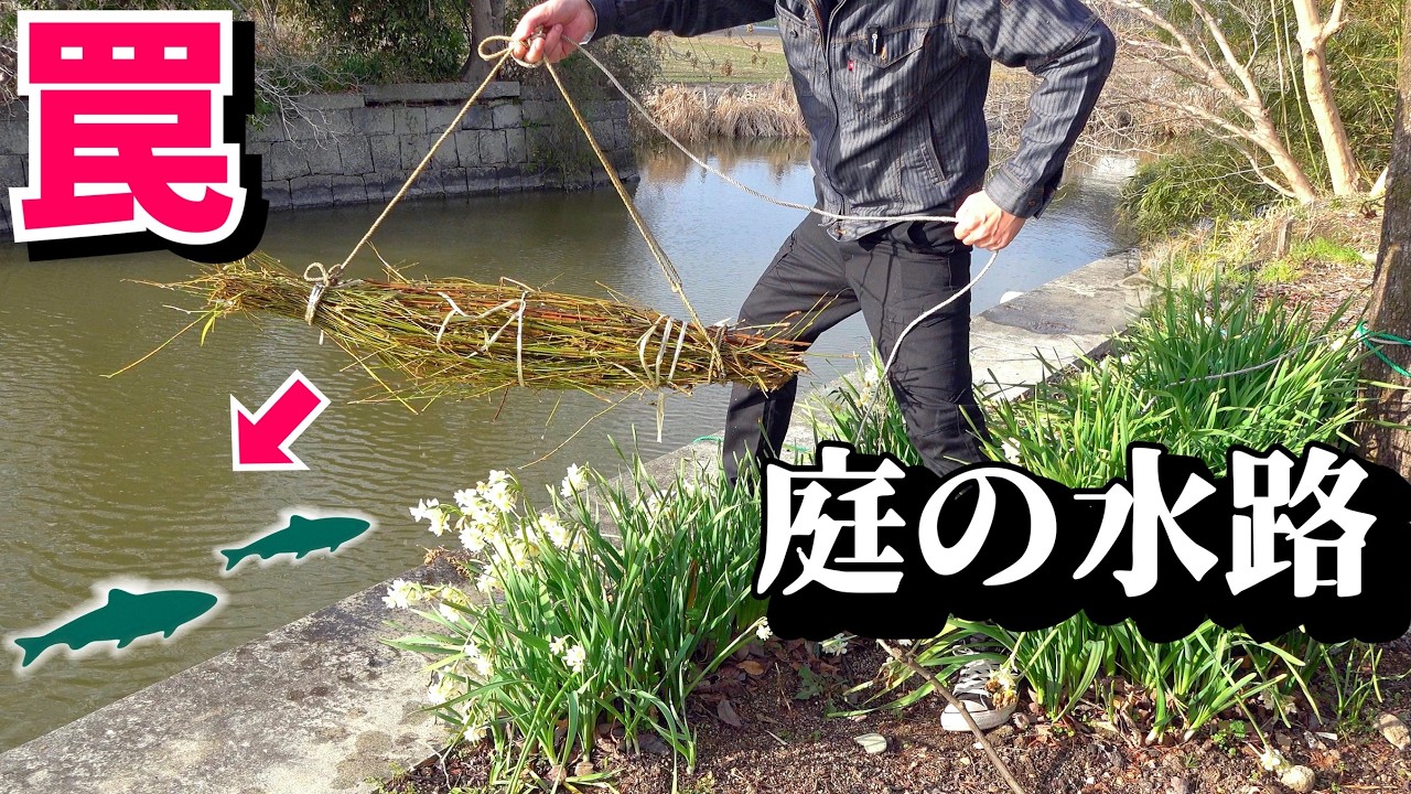 庭の川に竹で作った罠を１週間沈めてみると…