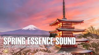 Esensi Di Musim Semi - Ambience Relaxing - Relaxing Music