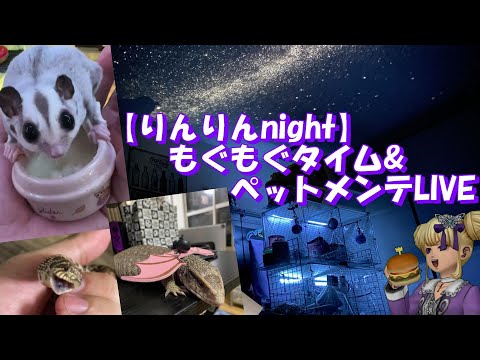 【りんりんnight】テスト配信！！