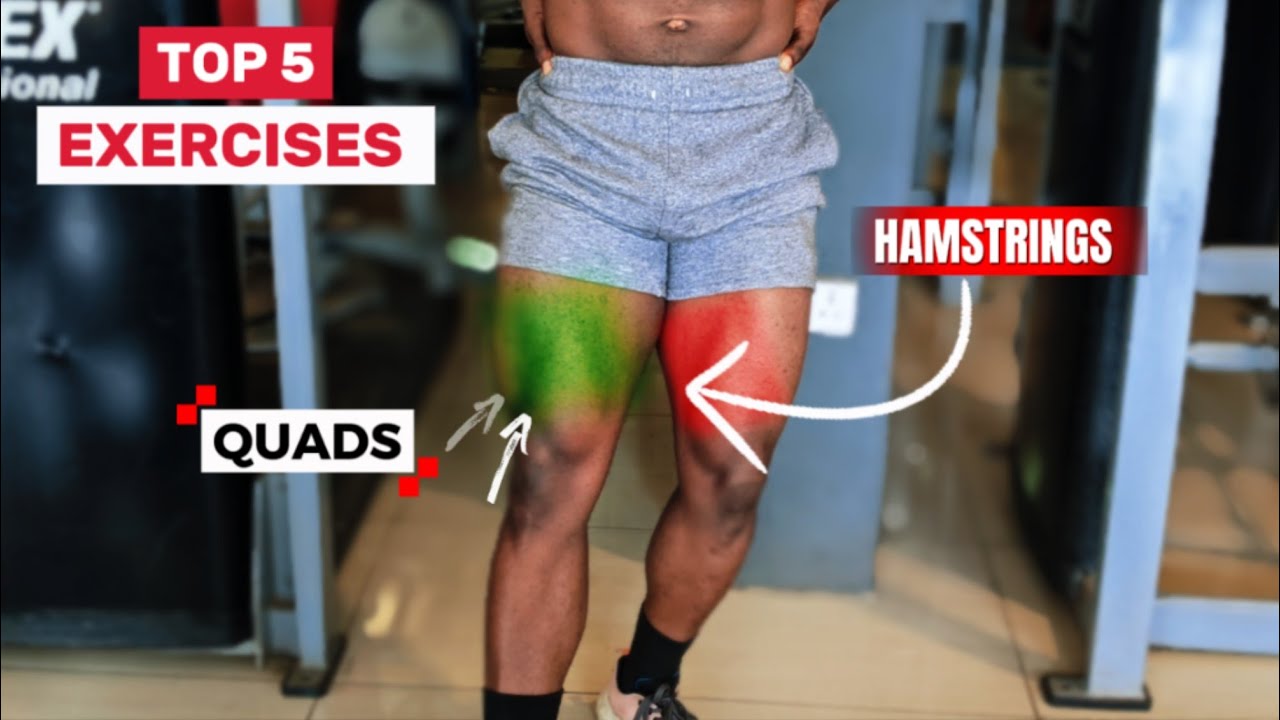5 Best Leg Exercises for Bigger Quads & Hamstrings. - YouTube