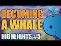 THE POWER OF BEING A WHALE | Weekly Stream Highlights #5 | Genshin Impact Highlights