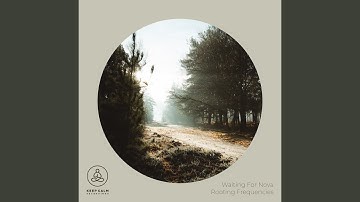 Rooting Frequencies (Noise)