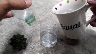 🌵 How to grow root cactus? วิธีล่อรากกระบองเพชร (ด้วยน้ำ)