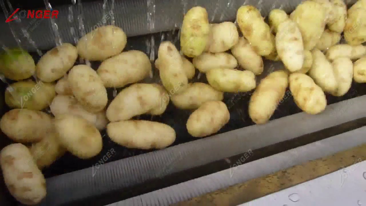 Brush Roller Potato Washing Peeling Machine