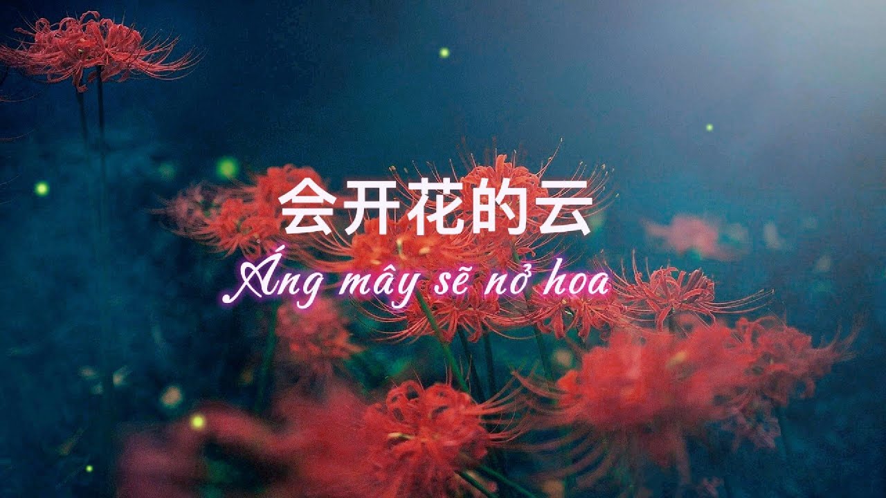 Áng mây sẽ nở hoa - [30 min ] - 会开花的云 #music #会开花的云  - #vietsub