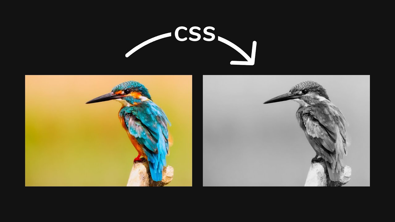 How To Make An Image Black And White Css