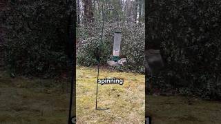 This Squirrel-Proof Bird Feeder Prevents Theft