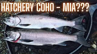 Can You CATCH a HATCHERY COHO? Vedder River WILDCOHO Mahem