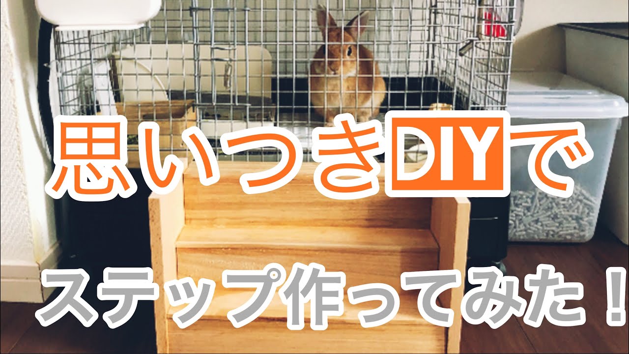 173 ウサギのケージのステップを思いつきdiy Youtube