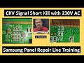 Panel short killer  230 volt ac with english subtitle      v     