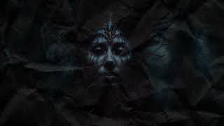 THE COLLECTIVE - Amalgamation (Official Video)