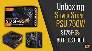 Unboxing Silverstone ST75F-GS 750W 80Plus Gold - Strider Gold S Series - Fully Modular ATX PSU