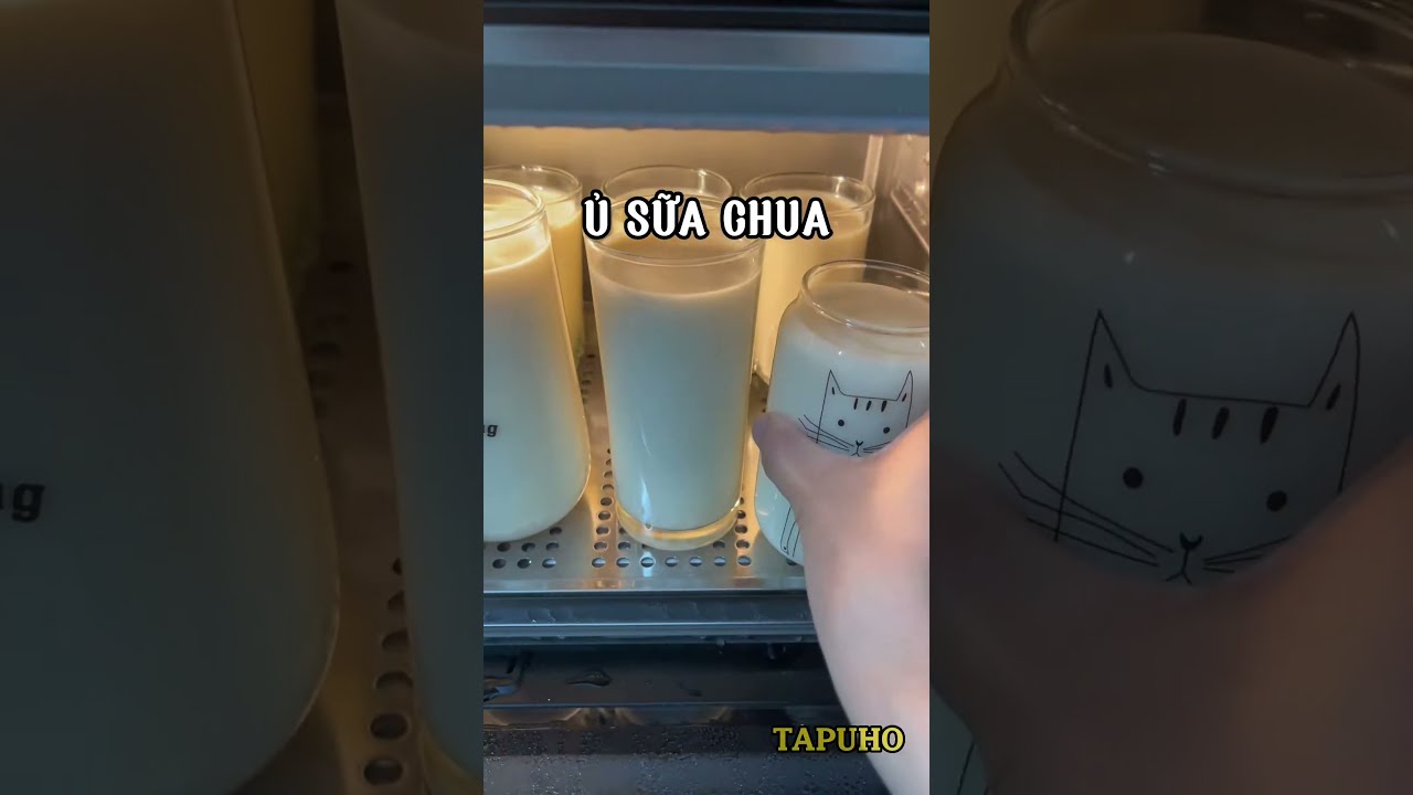 Nồi Chiên Tapuho - Giải Pháp Hoàn Hảo Cho Món Ăn Ngon Miệng