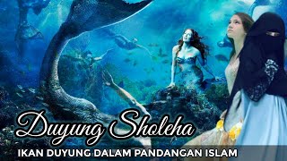 Ikan Duyung Menurut Islam - Putri Duyung Menurut Islam