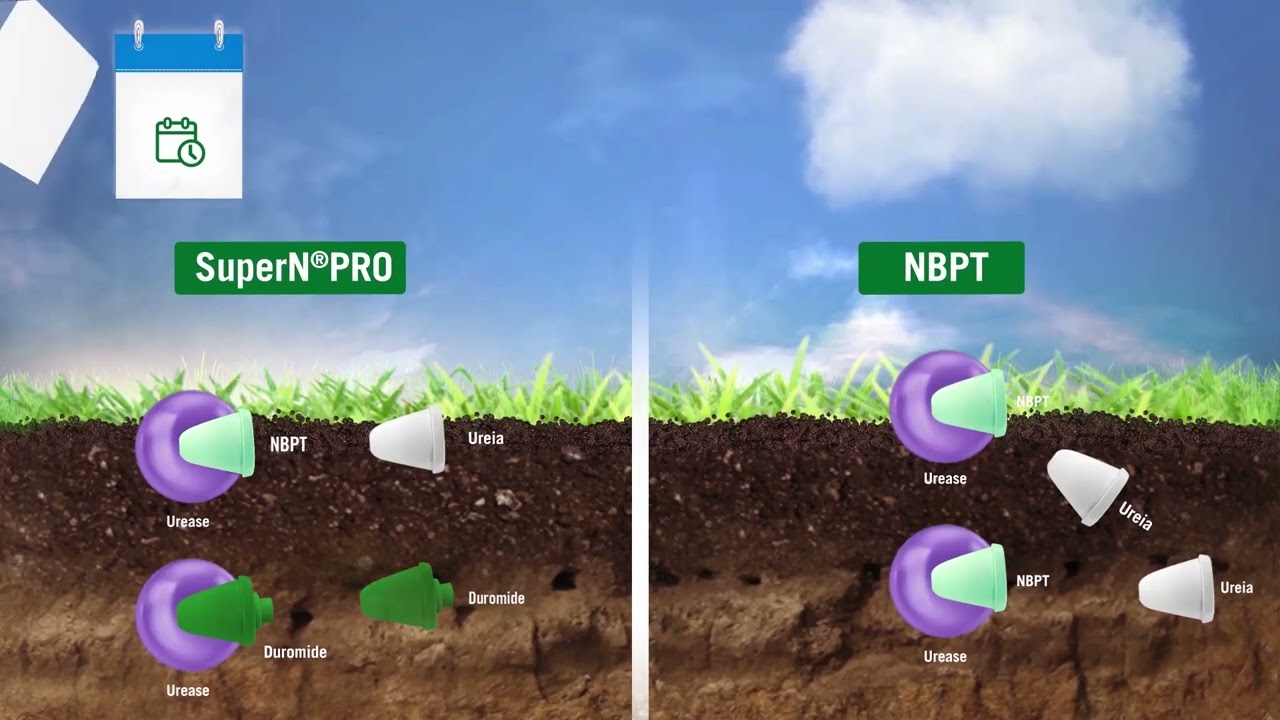 3 - SuperN®PRO com tecnologia DUROMIDE