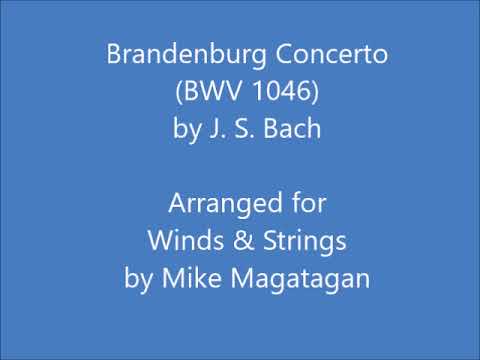 Brandenburg Concerto No. 1 in F Major (BWV 1046) for Winds & Strings - YouTube