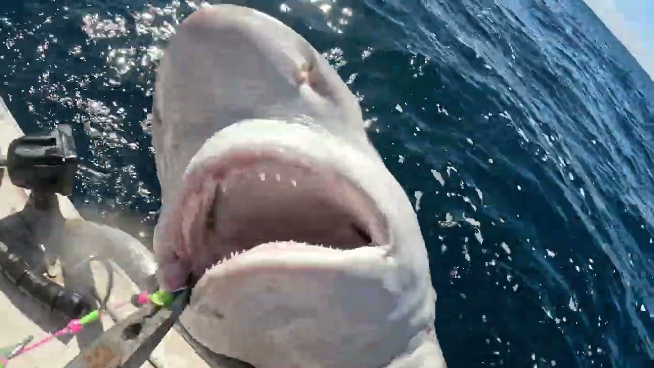 Cervantes Fishing trip WA