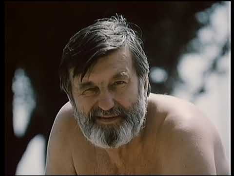Bambulka 28   Motylik