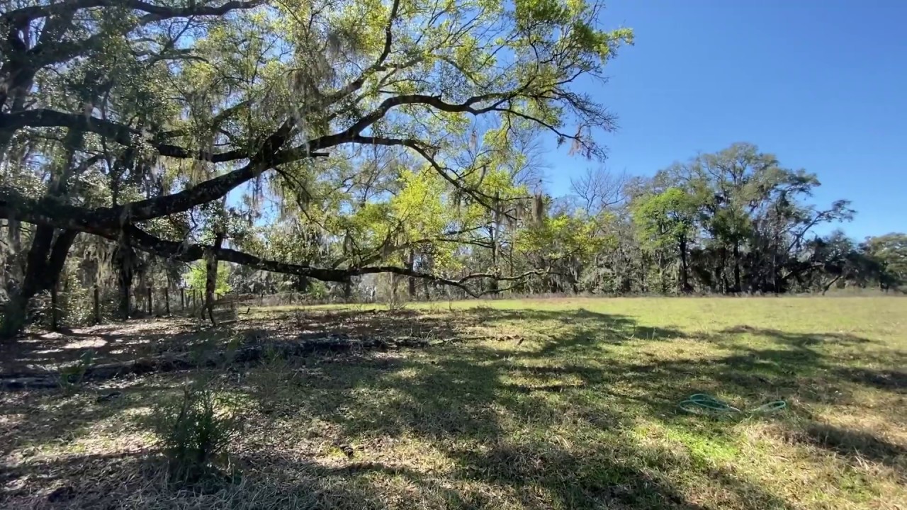 30 Acre Land for Sale North Central Florida YouTube