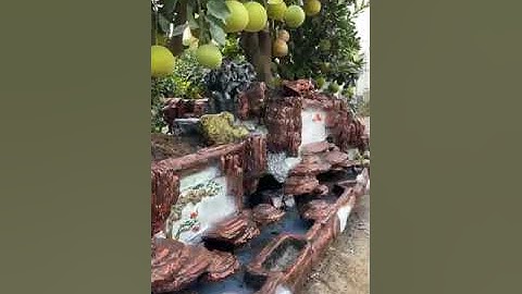 Độc Lạ Bưởi Cảnh Tết, Và Những cây bưởi cảnh tết đắt giá nhất Việt Nam. 0911451210.