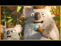 In Her Majesty Service Jungle Bunch 35 Compilation Cartoon For Kids