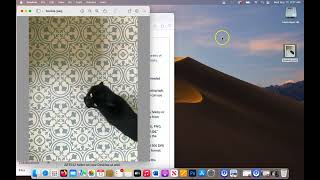 Module 2 Assignment Step by Step