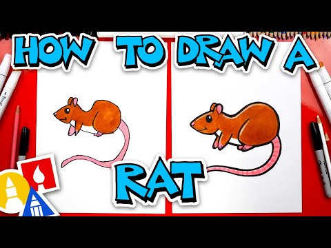 Video: How To Draw Rats