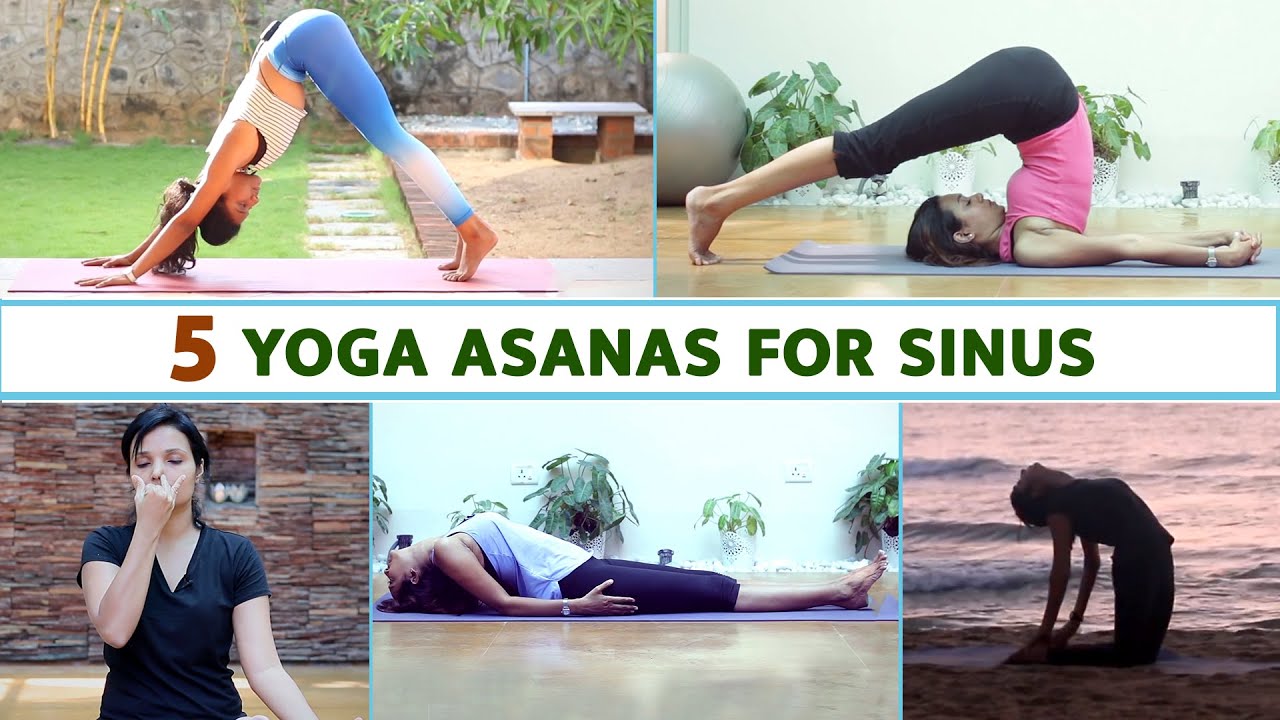 5 Yoga Asanas For Sinus | Yoga For Sinus | Yoga To Cure Sinus ...