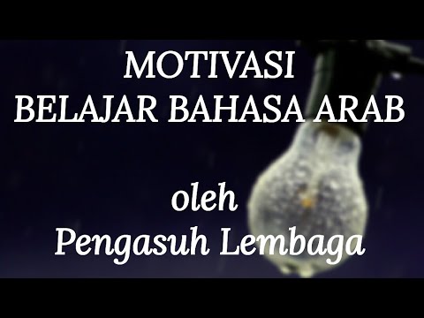  Motivasi Bahasa Arab  oleh Pengasuh Lembaga YouTube