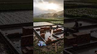 #music #trending #beforeafter #home #ai #homerenovation